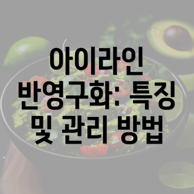 아이라인 반영구화: 특징 및 관리 방법