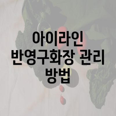 아이라인 반영구화장 관리 방법