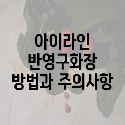 아이라인 반영구화장 방법과 주의사항