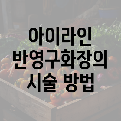 아이라인 반영구화장의 시술 방법