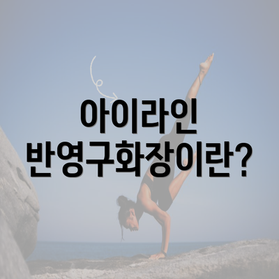 아이라인 반영구화장이란?