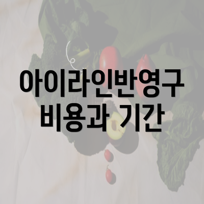 아이라인반영구 비용과 기간