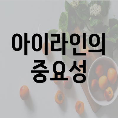 아이라인의 중요성