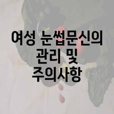 여성 눈썹문신의 관리 및 주의사항