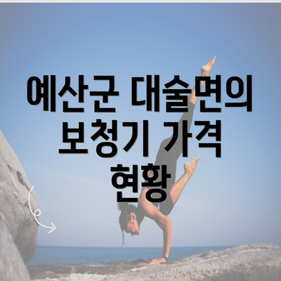 예산군 대술면의 보청기 가격 현황