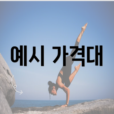 예시 가격대