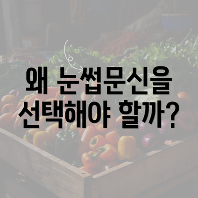 왜 눈썹문신을 선택해야 할까?