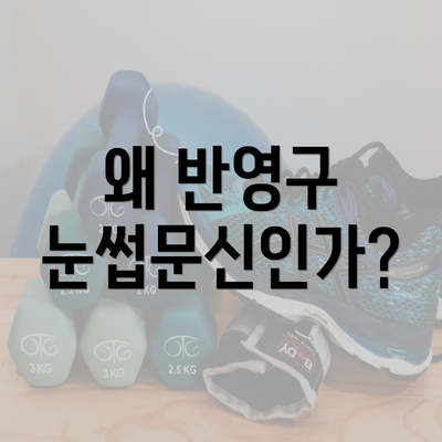 왜 반영구 눈썹문신인가?