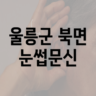 울릉군 북면 눈썹문신