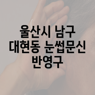 울산시 남구 대현동 눈썹문신 반영구