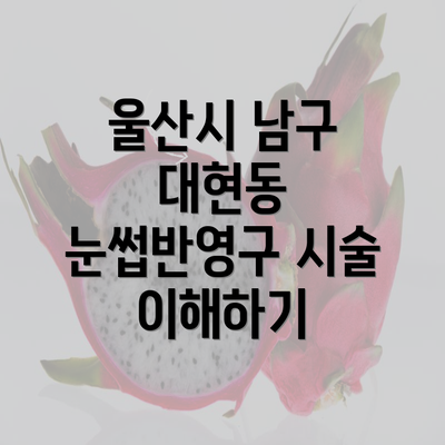 울산시 남구 대현동 눈썹반영구 시술 이해하기