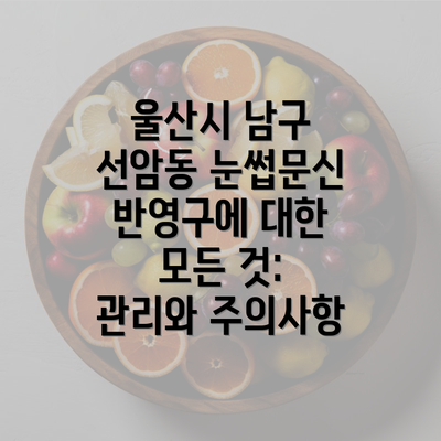 울산시 남구 선암동 눈썹문신 반영구에 대한 모든 것: 관리와 주의사항