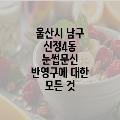 울산시 남구 신정4동 눈썹문신 반영구에 대한 모든 것