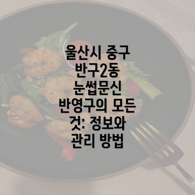 울산시 중구 반구2동 눈썹문신 반영구의 모든 것: 정보와 관리 방법