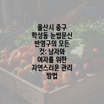 울산시 중구 학성동 눈썹문신 반영구의 모든 것: 남자와 여자를 위한 자연스러운 관리 방법