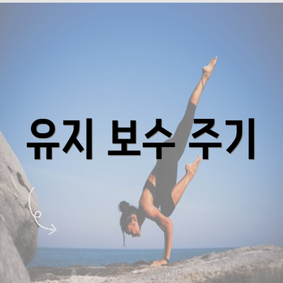 유지 보수 주기