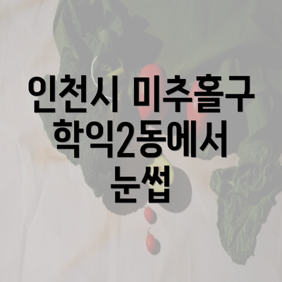 인천시 미추홀구 학익2동에서 눈썹