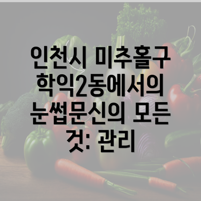 인천시 미추홀구 학익2동에서의 눈썹문신의 모든 것: 관리