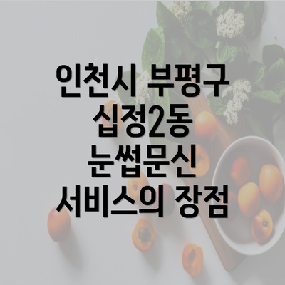 인천시 부평구 십정2동 눈썹문신 서비스의 장점