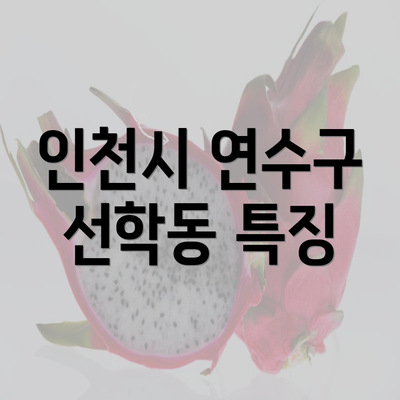 인천시 연수구 선학동 특징