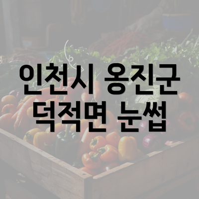 인천시 옹진군 덕적면 눈썹