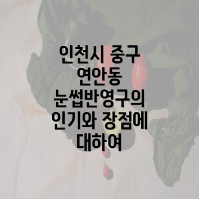 인천시 중구 연안동 눈썹반영구의 인기와 장점에 대하여