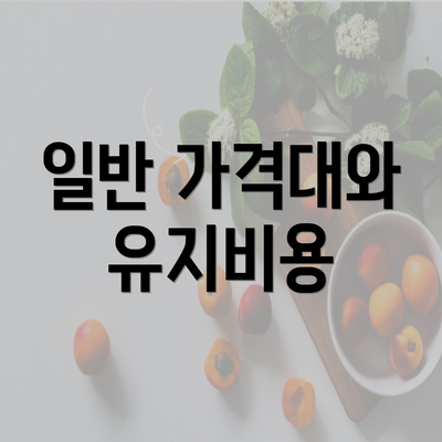 일반 가격대와 유지비용