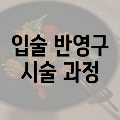 입술 반영구 시술 과정