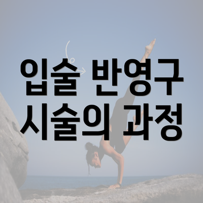 입술 반영구 시술의 과정