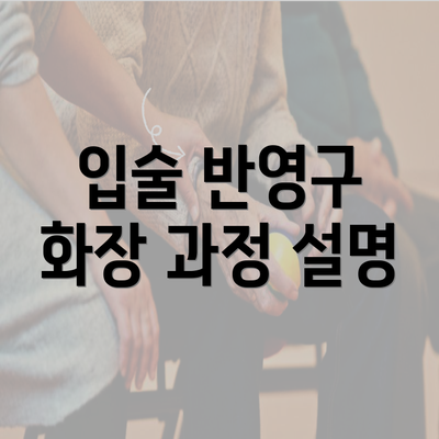 입술 반영구 화장 과정 설명