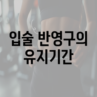 입술 반영구의 유지기간