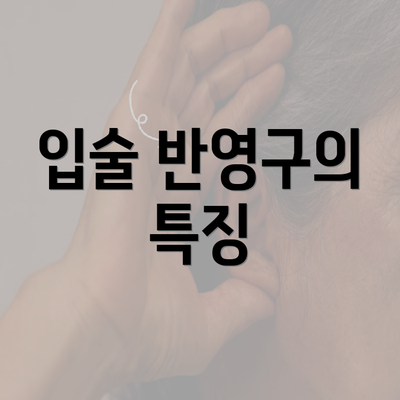 입술 반영구의 특징