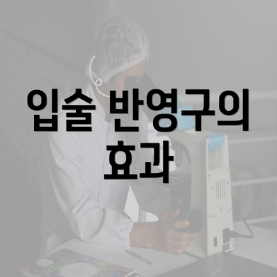 입술 반영구의 효과