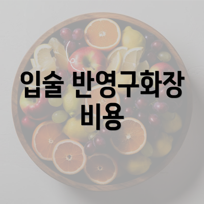 입술 반영구화장 비용