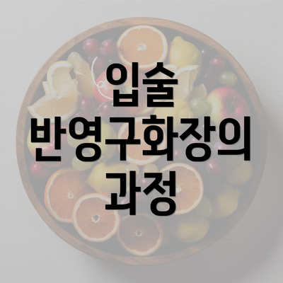 입술 반영구화장의 과정