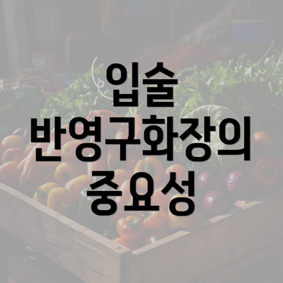 입술 반영구화장의 중요성