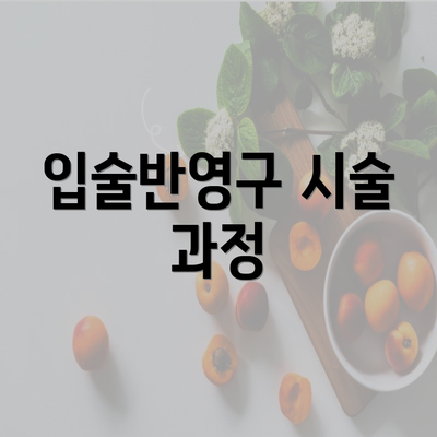 입술반영구 시술 과정