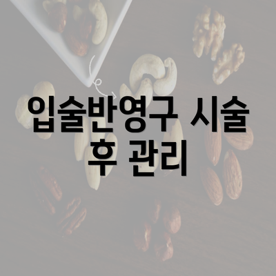 입술반영구 시술 후 관리