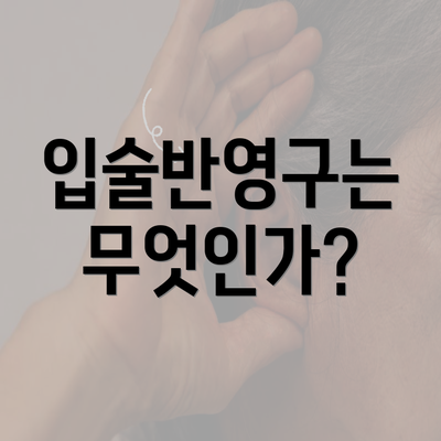 입술반영구는 무엇인가?