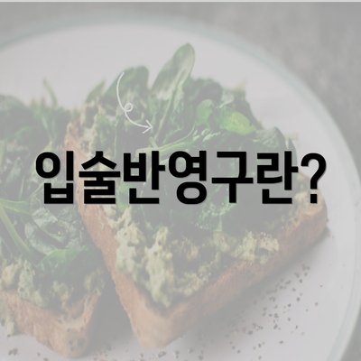 입술반영구란?