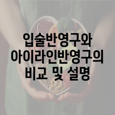 입술반영구와 아이라인반영구의 비교 및 설명