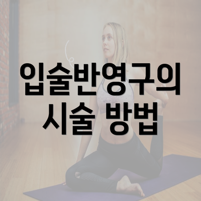 입술반영구의 시술 방법