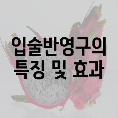 입술반영구의 특징 및 효과