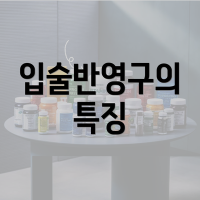 입술반영구의 특징