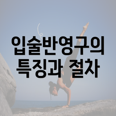 입술반영구의 특징과 절차