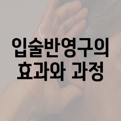 입술반영구의 효과와 과정