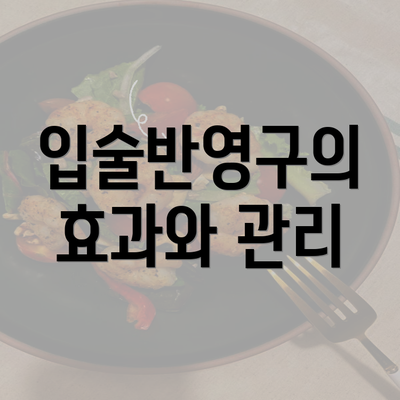 입술반영구의 효과와 관리