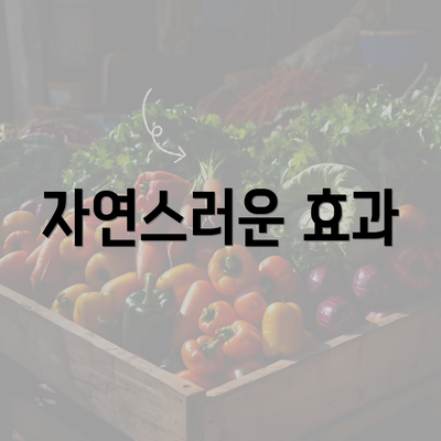 자연스러운 효과