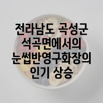 전라남도 곡성군 석곡면에서의 눈썹반영구화장의 인기 상승