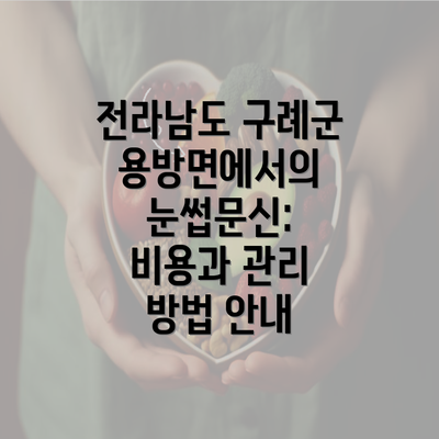 전라남도 구례군 용방면에서의 눈썹문신: 비용과 관리 방법 안내